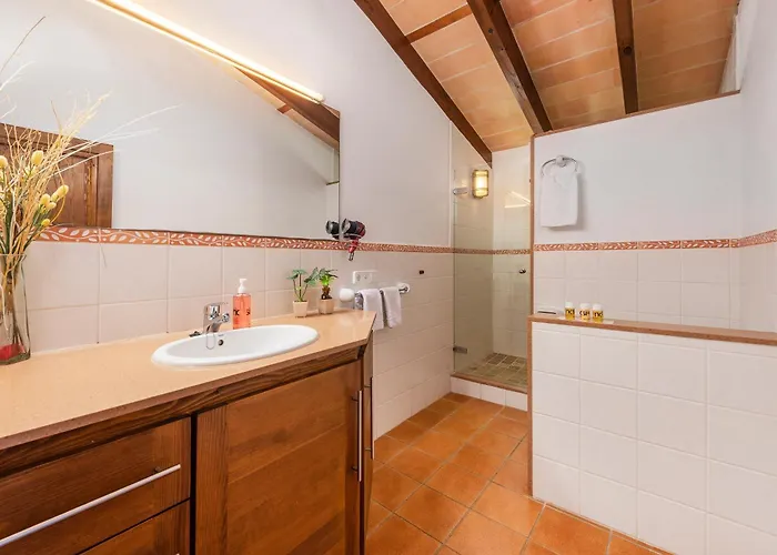 Montana * פוינסה