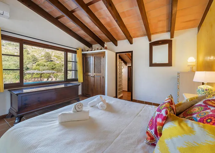 Montana פוינסה